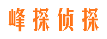 雁江婚外情调查取证